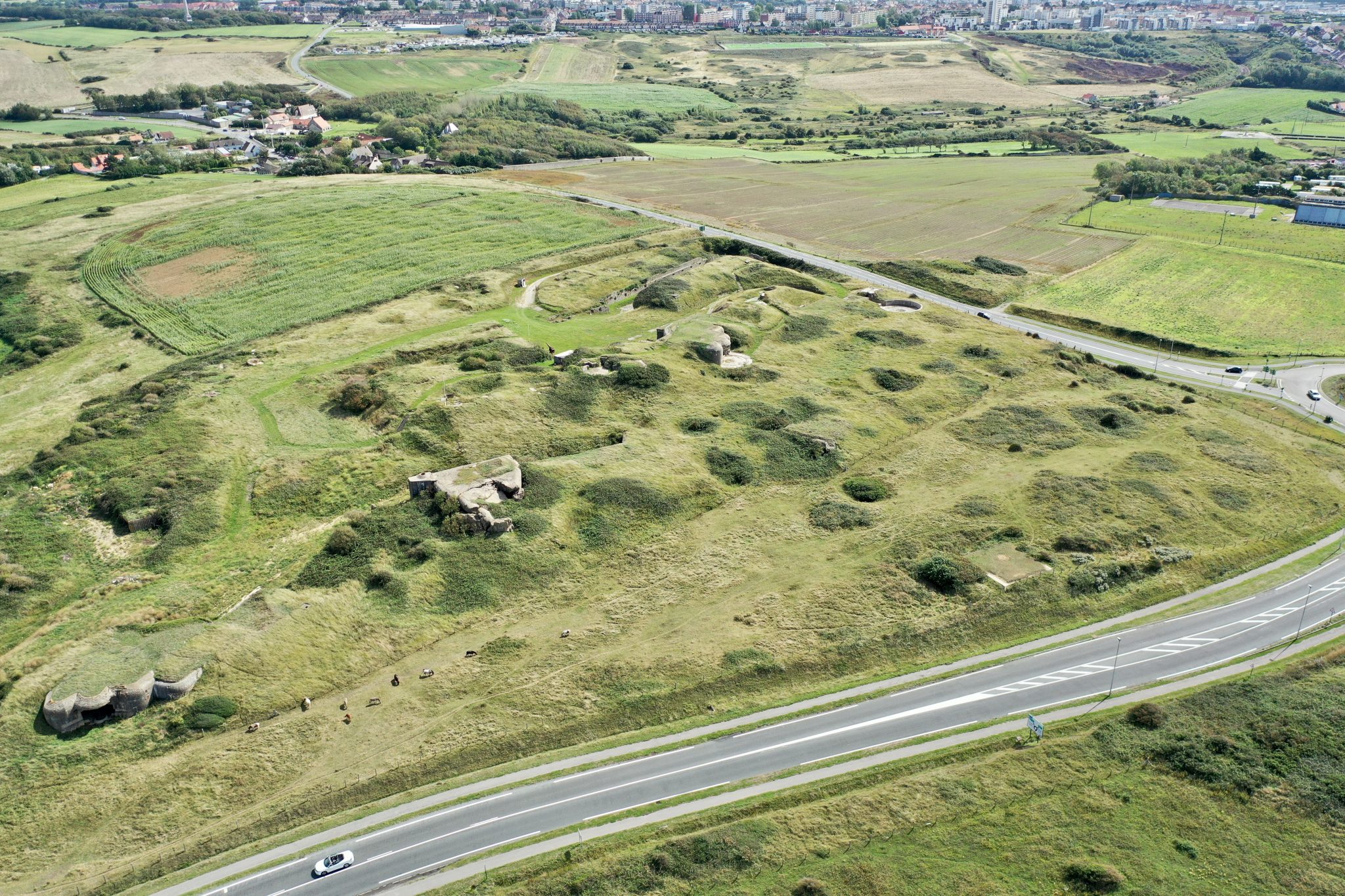 Wimereux – Pointe de la Crèche – Point n°4 - 25.08.2020