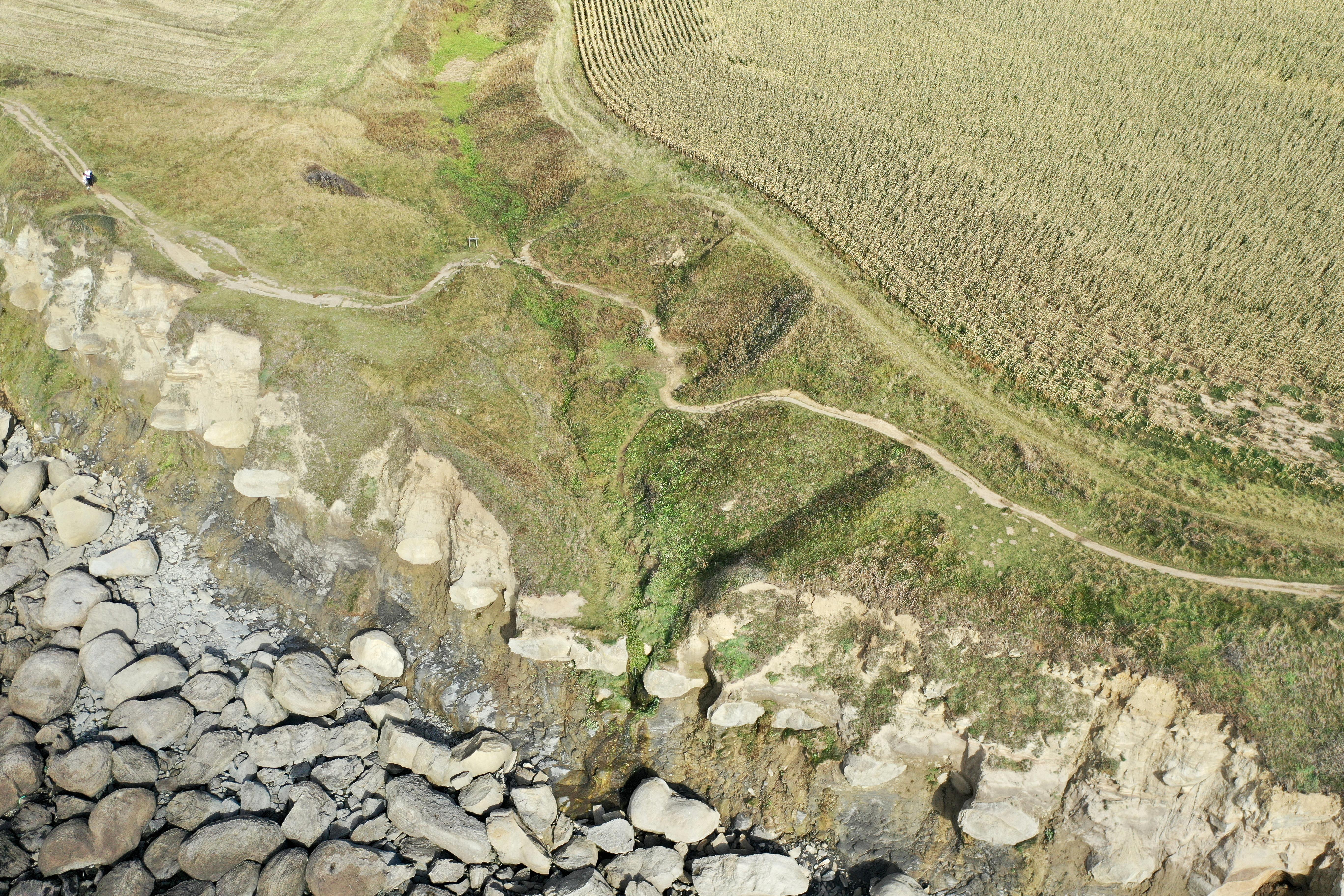 2020 : description de l'image initiale.