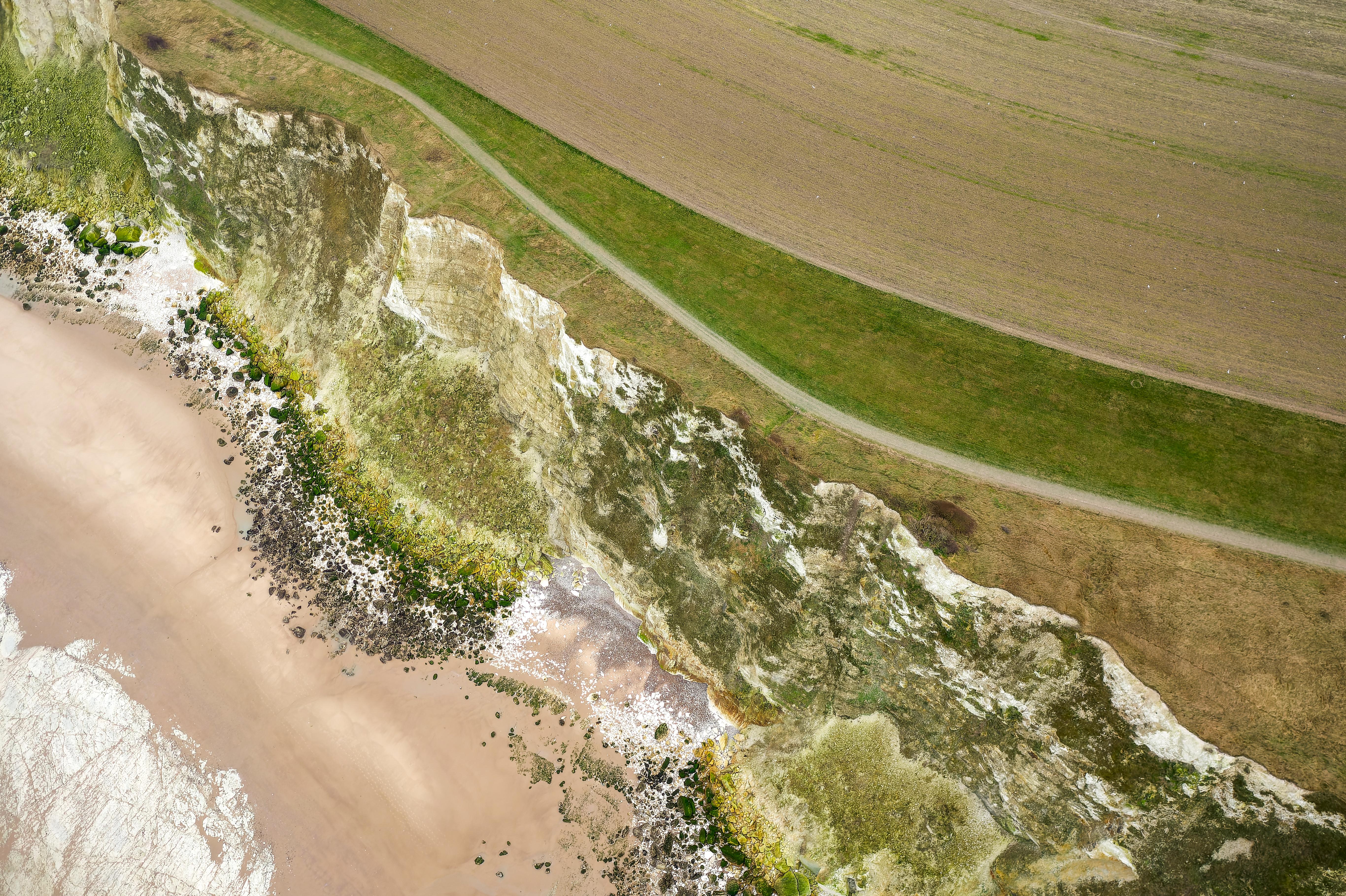 2025 : description de l'image finale.